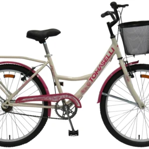 Bicicleta Lady R.24