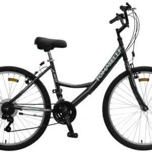 Bicicleta Mountain Bike Sky Dama